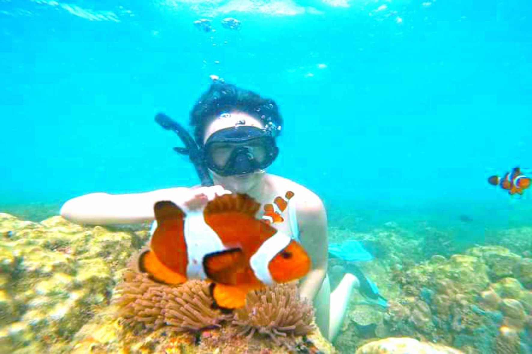 Snorkeling